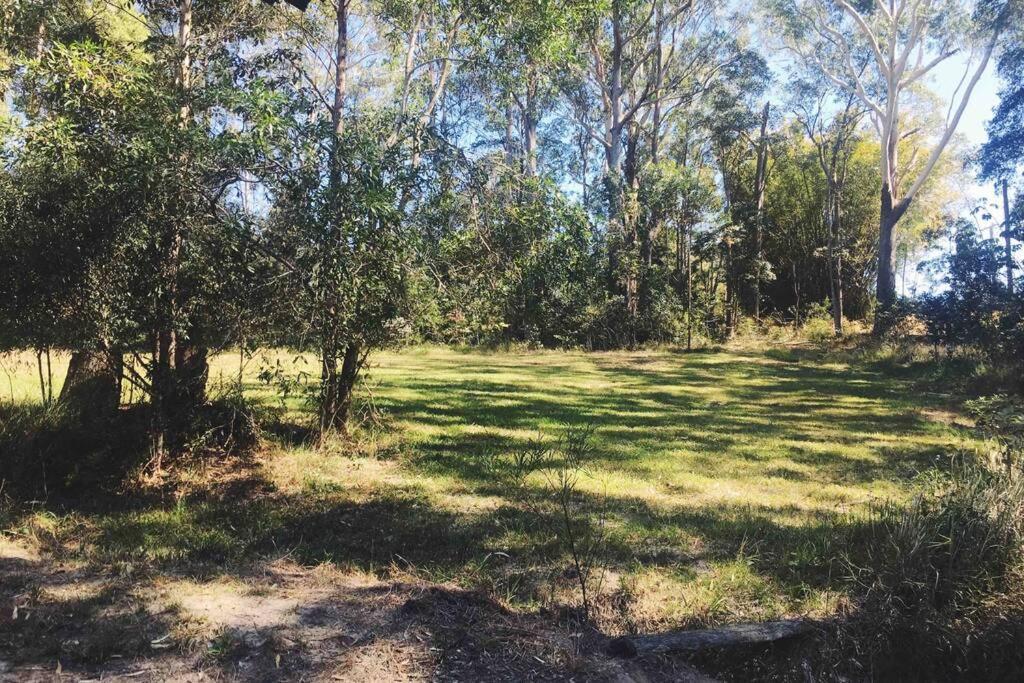 Cabin Country Retreat Paskins Farm Palmwoods Exterior foto