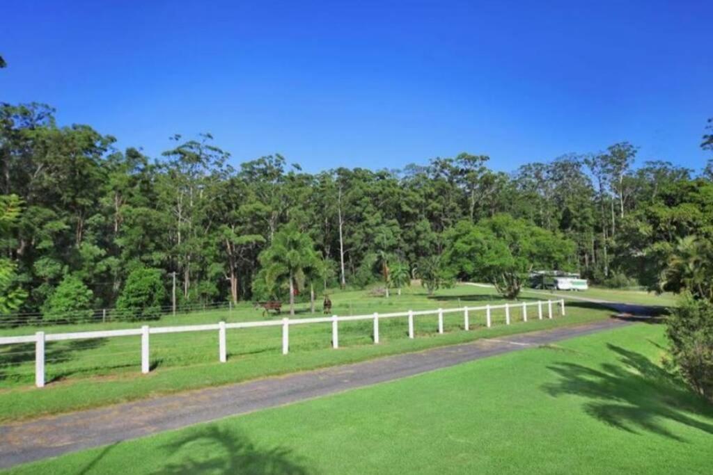Cabin Country Retreat Paskins Farm Palmwoods Exterior foto